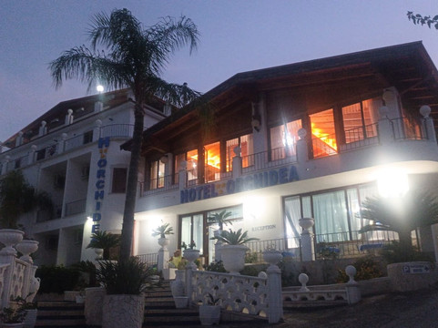 Orchidea 酒店主图