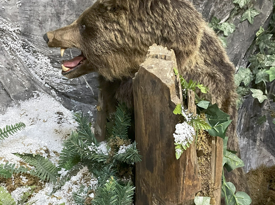 Muzeul Natura Văii Teleajenului景点图片