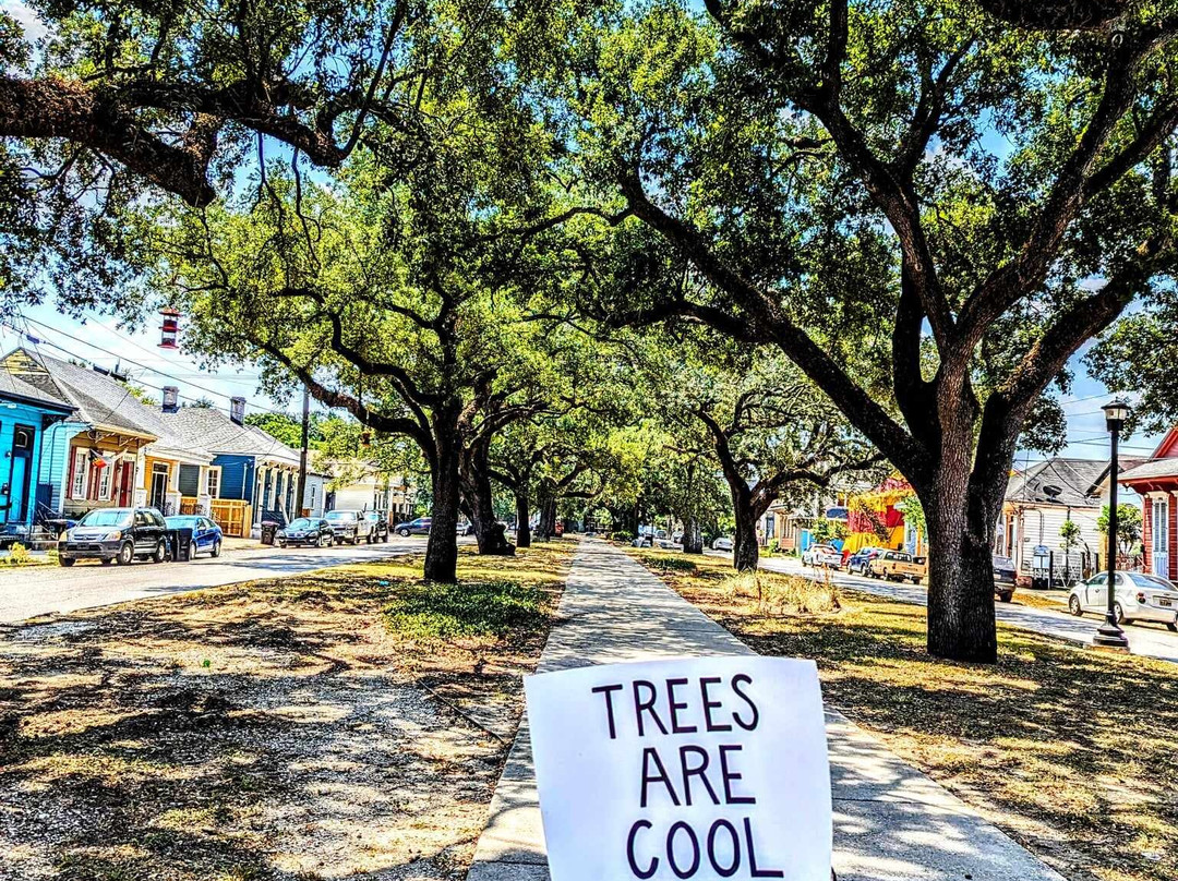 Confederacy Of Cruisers Bike Tours-新奥尔良必去景点