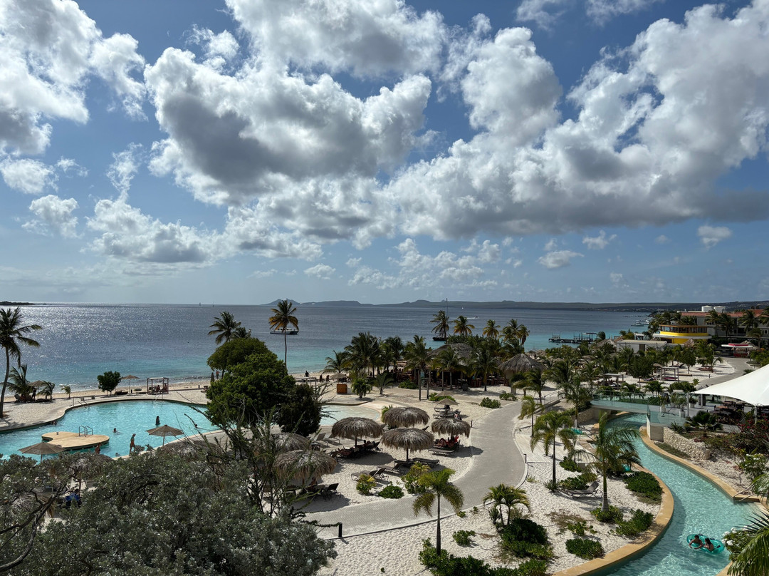 Chogogo Dive & Beach Resort Bonaire主图