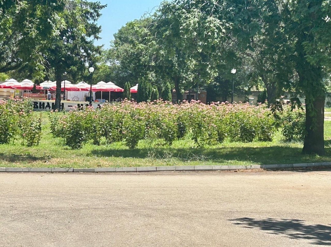 Town Park景点图片