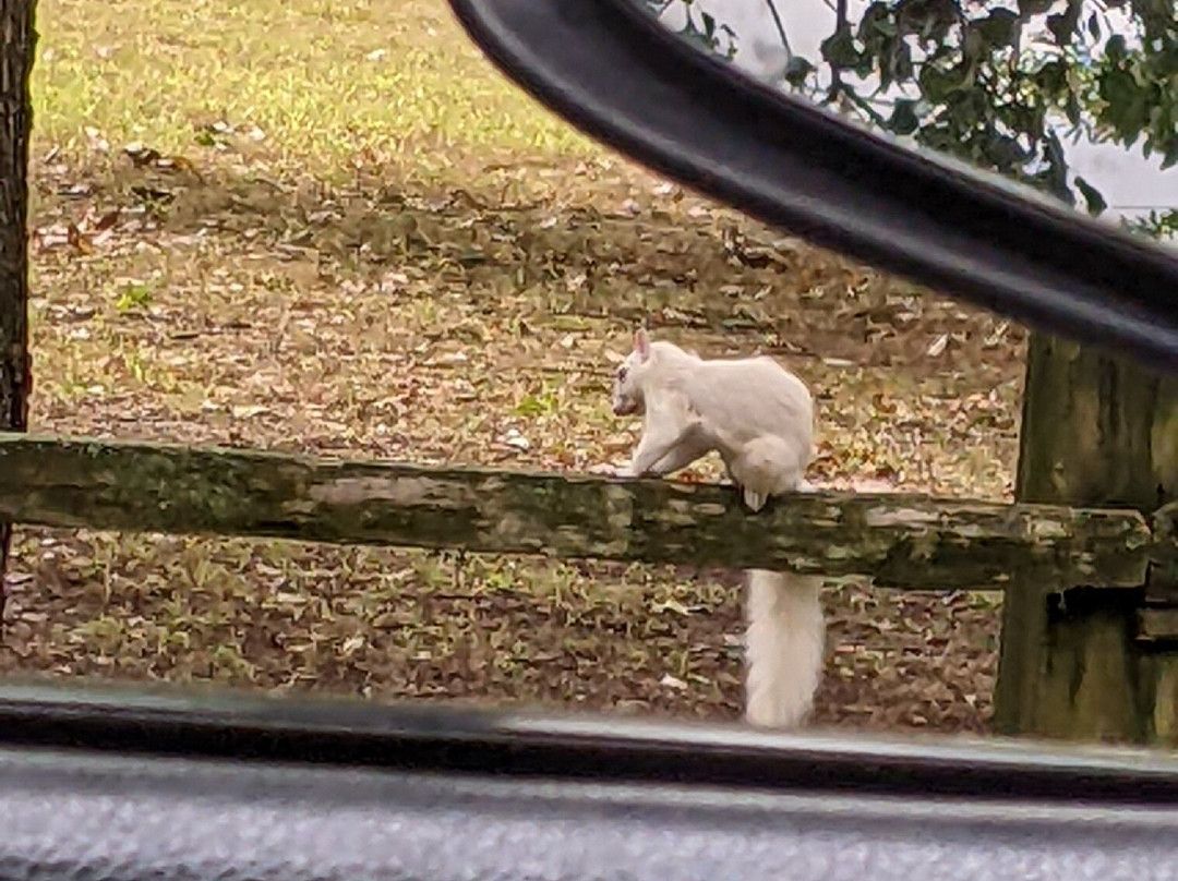 Olney City Park-Olney必去景点