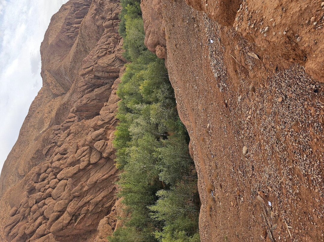Morocco Tours Trips - Day Tour景点图片