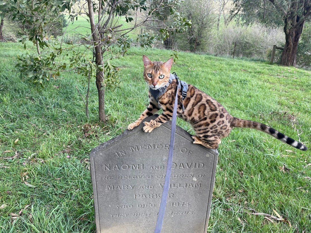 Coranderrk Aboriginal Cemetery And Barak Monument