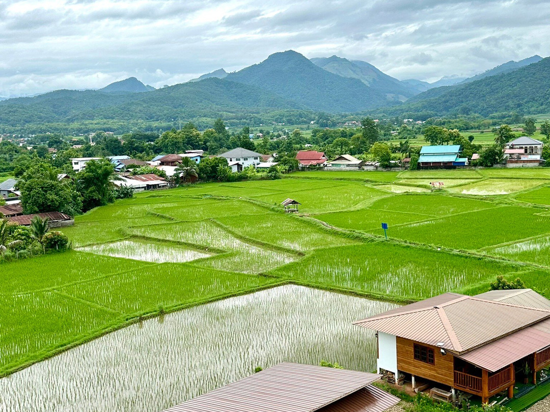Wat Phuket景点图片