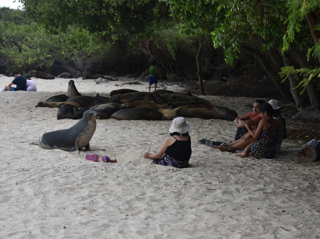 The Last Paradise-Pinzon必去景点