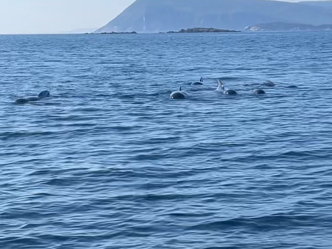 Keltic Express Zodiac Adentures-Ingonish必去景点