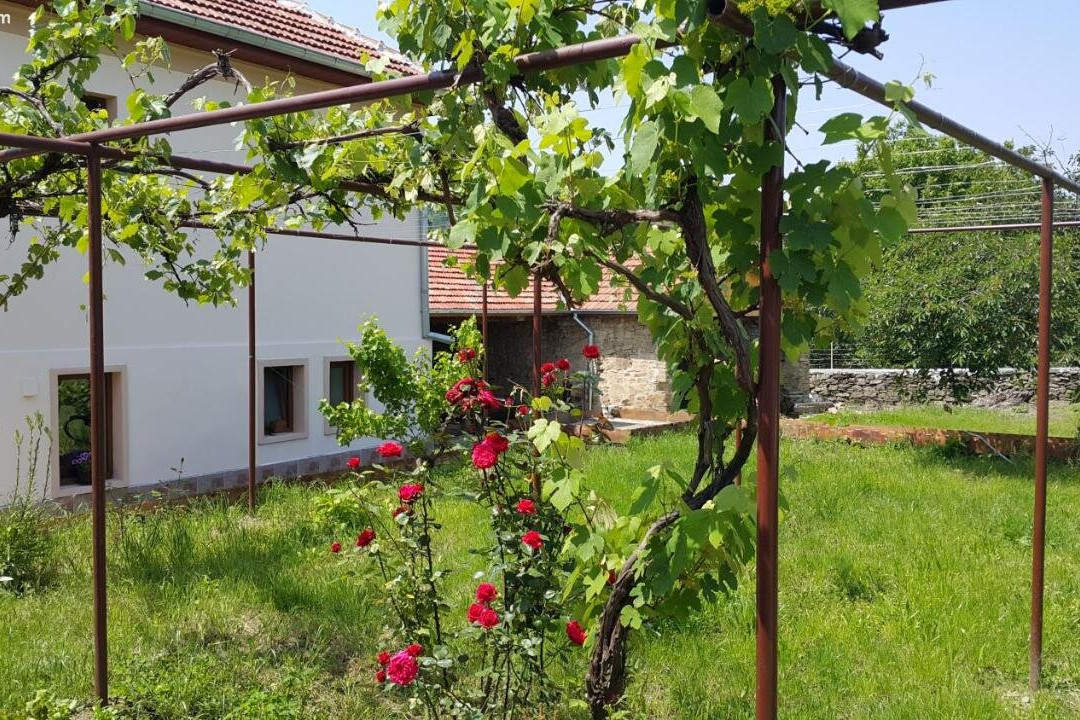 Guest House Art Eco Land主图