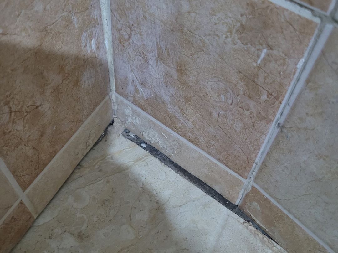 Masailand Safari & Lodge主图