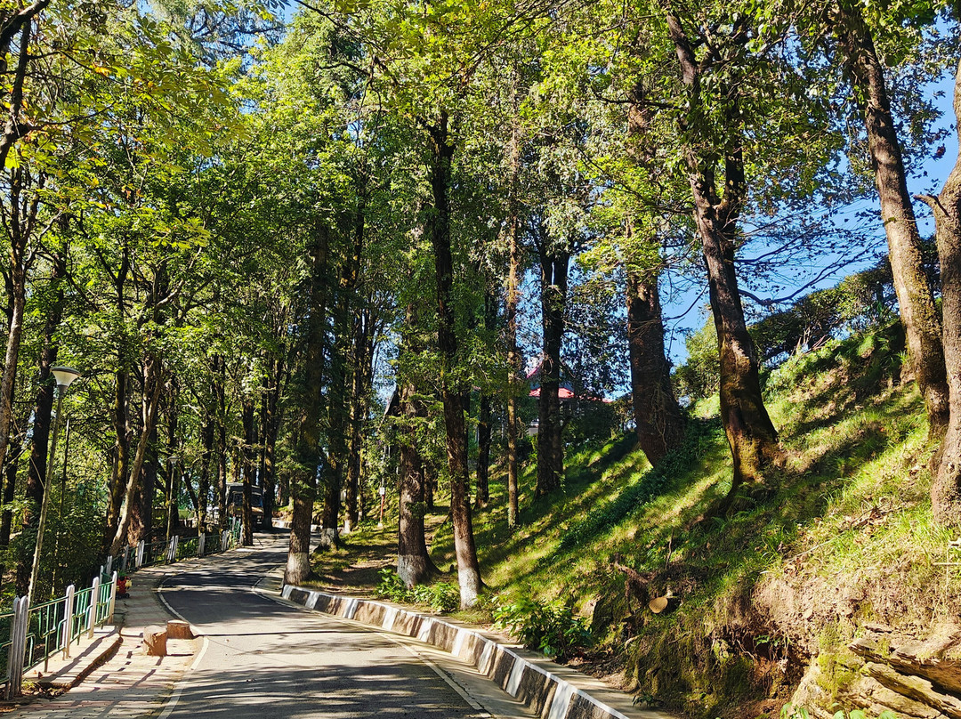 Rashtrapati Niwas, Mashobra, Shimla景点图片