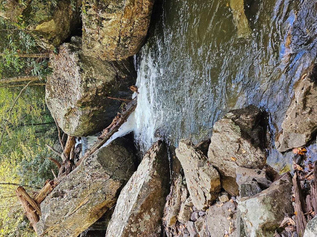 Cascade Falls景点图片