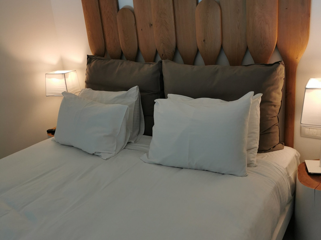 TUI BLUE Insula Alba (Adults Only)主图