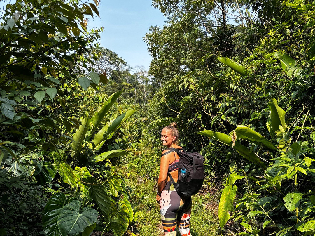 Amayas Ayahuasca Ecuador-Cotundo必去景点
