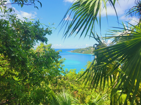 Island Trail Adventures-圣 托马斯必去景点