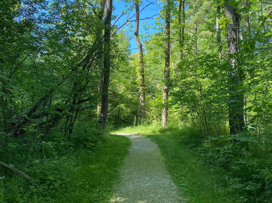 Sheldon Marsh State Nature Preserve-Huron必去景点