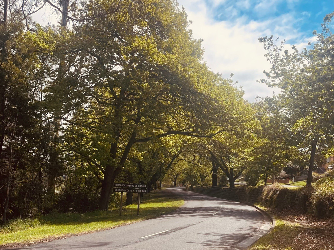 Gembrook Avenue Of Honour-Gembrook必去景点