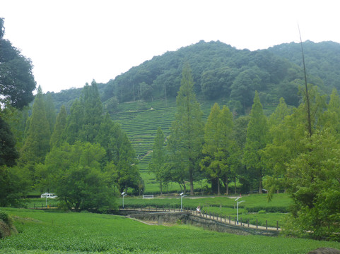 梅家坞-杭州市必去景点