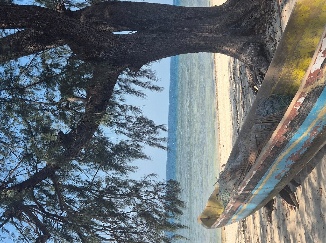 Pondok Wisata Pantai Cemara主图