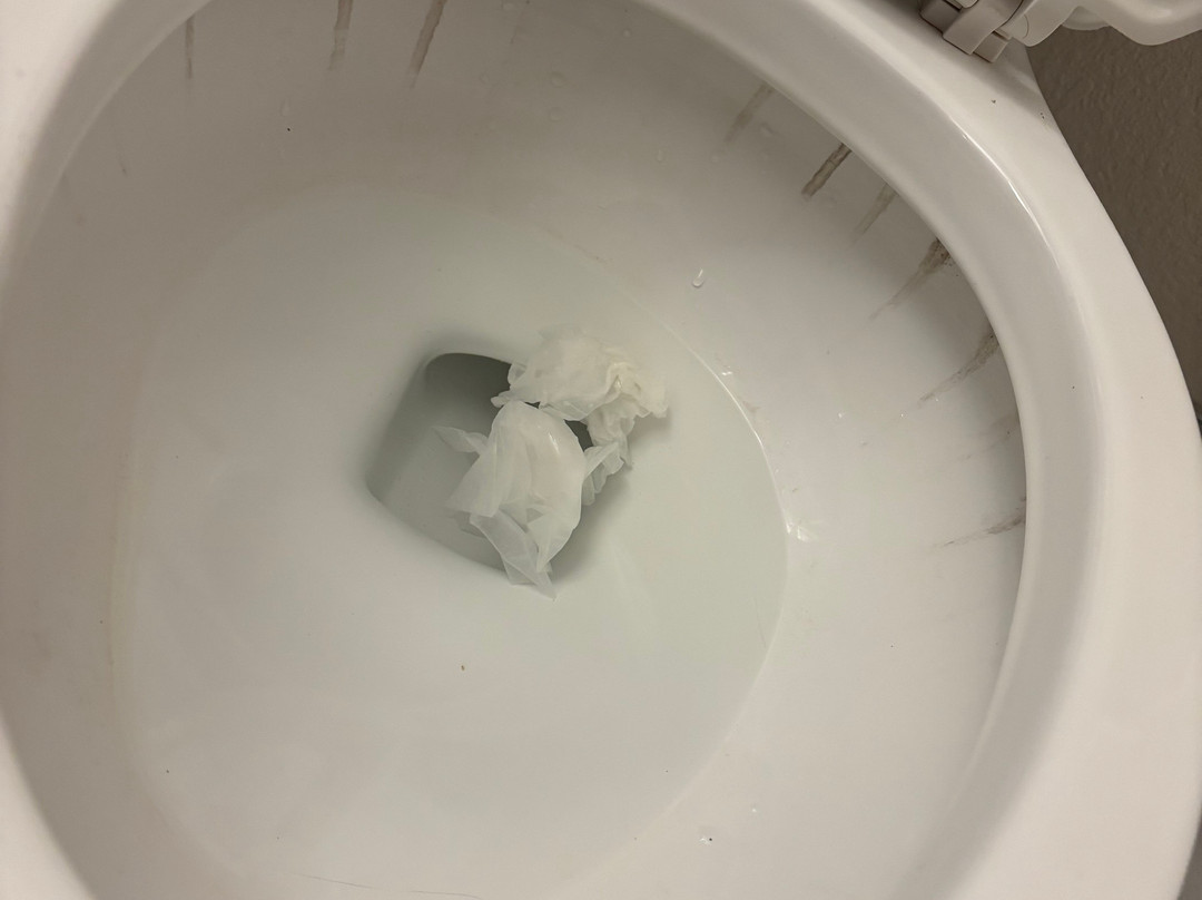 奇利科西东智选假日酒店主图