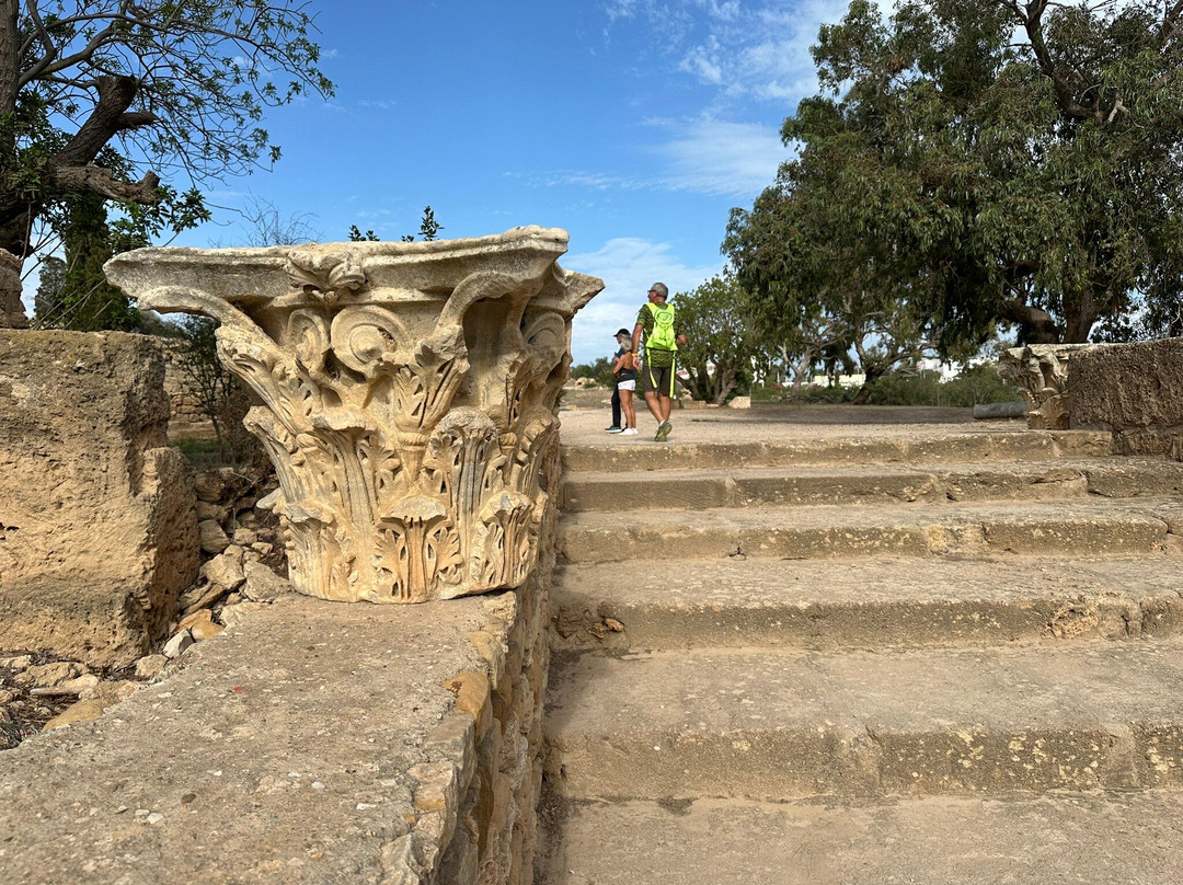 Villas Romaines-迦太基必去景点