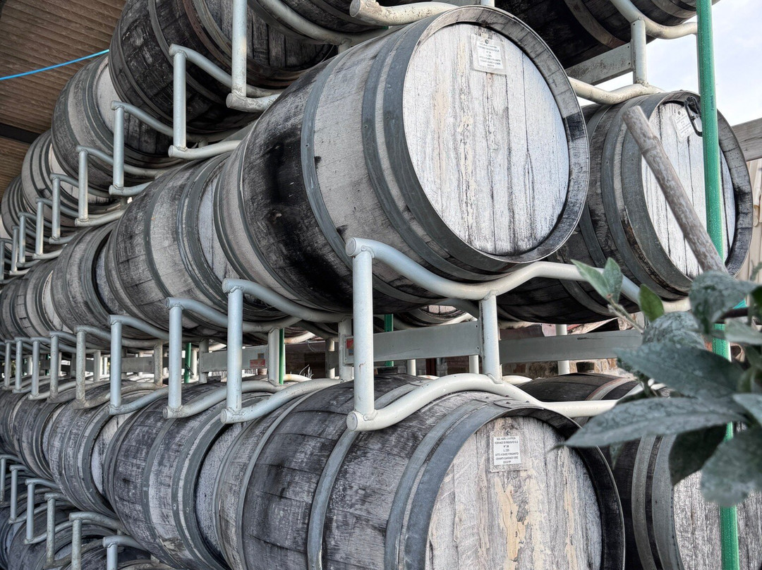 Cantalici Winery-加约莱因基安蒂必去景点