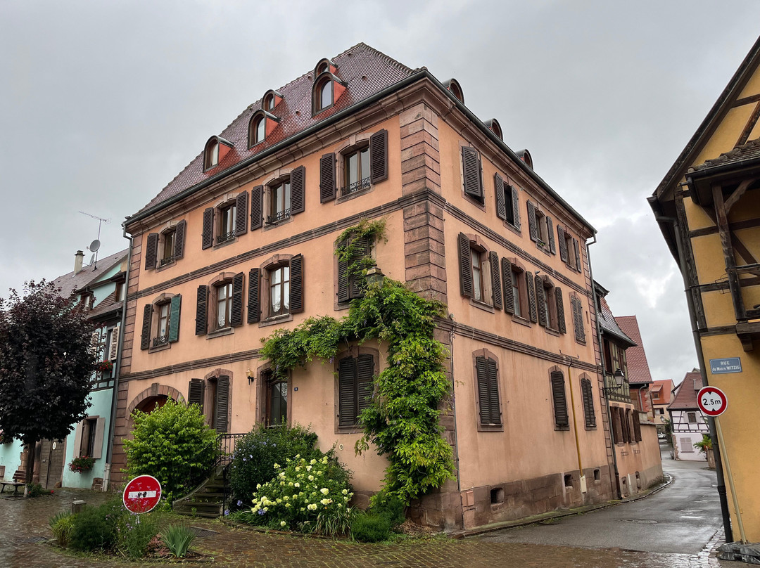 Vieille ville de Bergheim景点图片