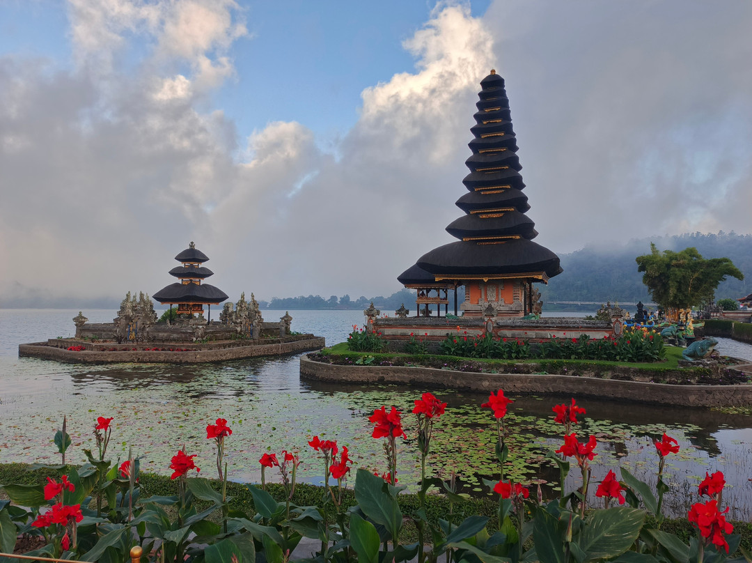 Pemuteran Bali Driver
