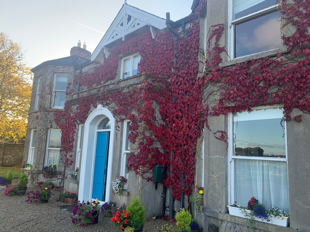Icon Spa at Castle Dargan-Ballygawley必去景点