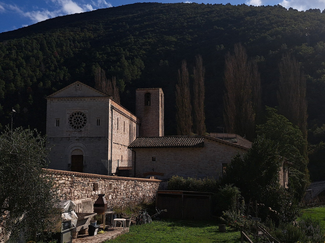Abbazia dei SS Felice e Mauro主图