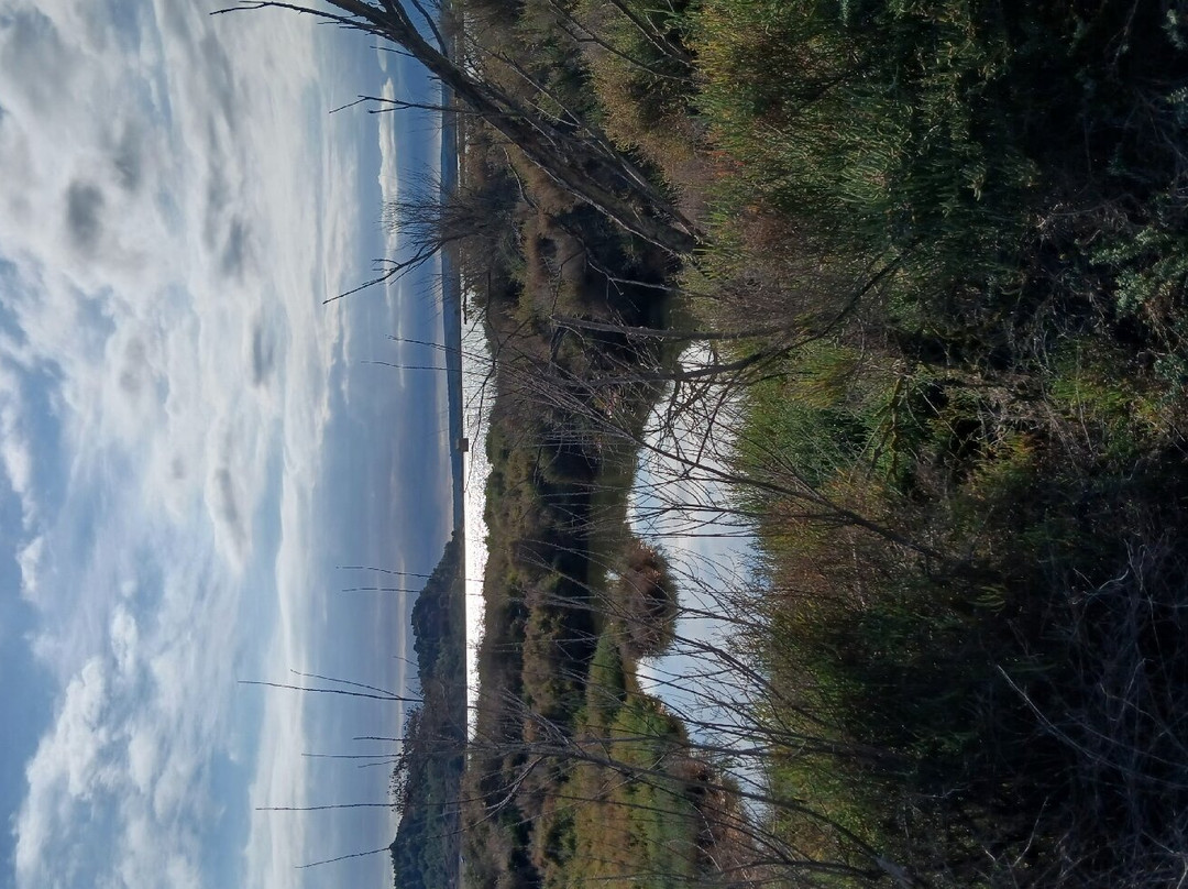 Etang Du Doul-Peyriac-de-Mer必去景点
