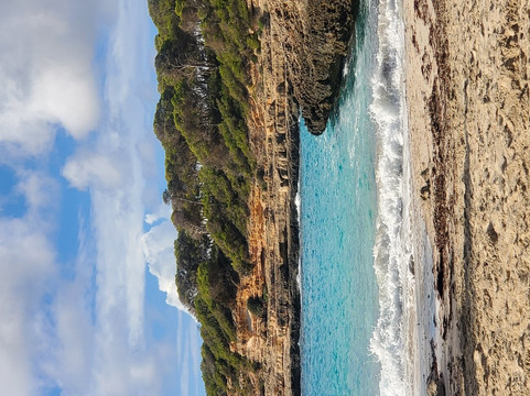 普拉亚蒙卓葛酒店(Playa Mondrago Hotel Apartments)主图