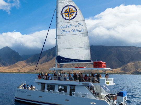 Four Winds Molokini Snorkeling Tour-怀露库必去景点
