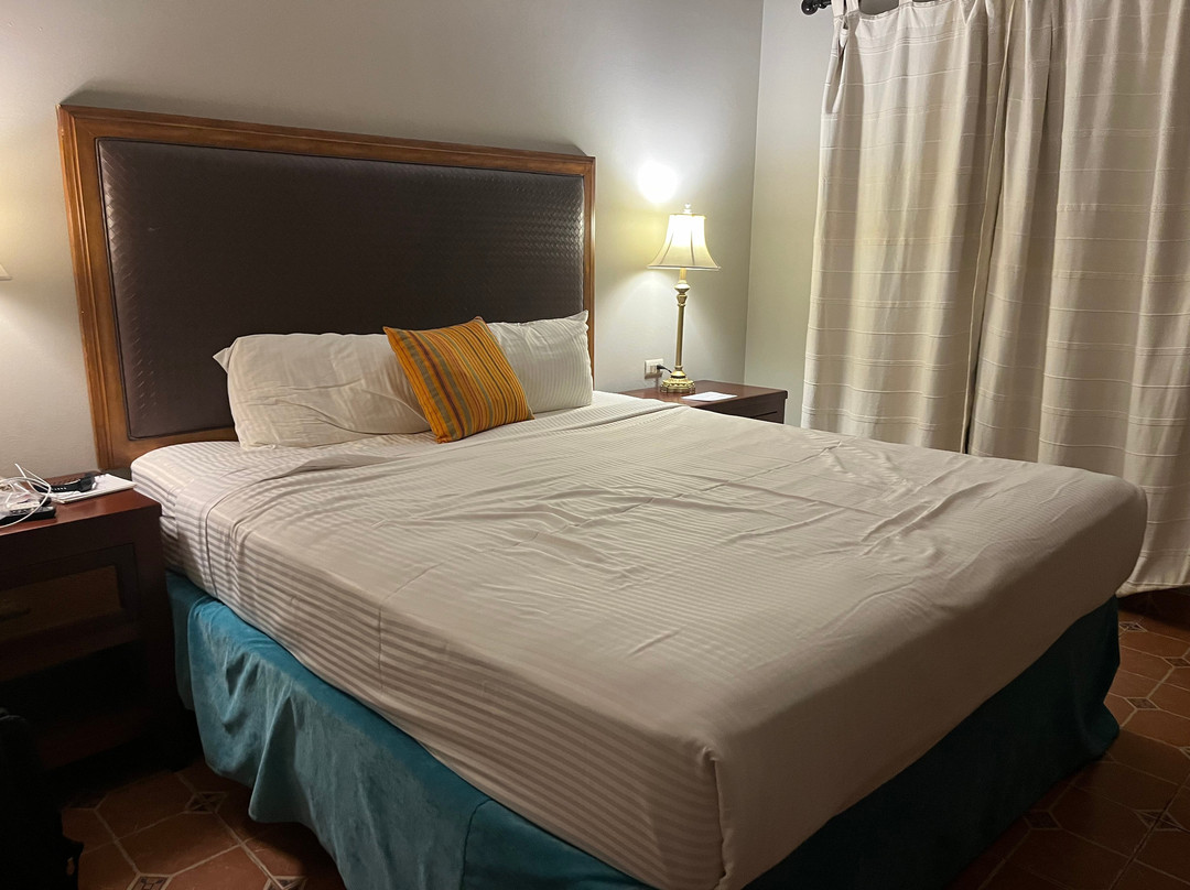 Hotel Posada del Hidalgo主图