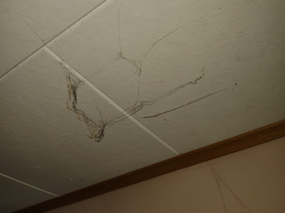 Mindemoya Motel主图