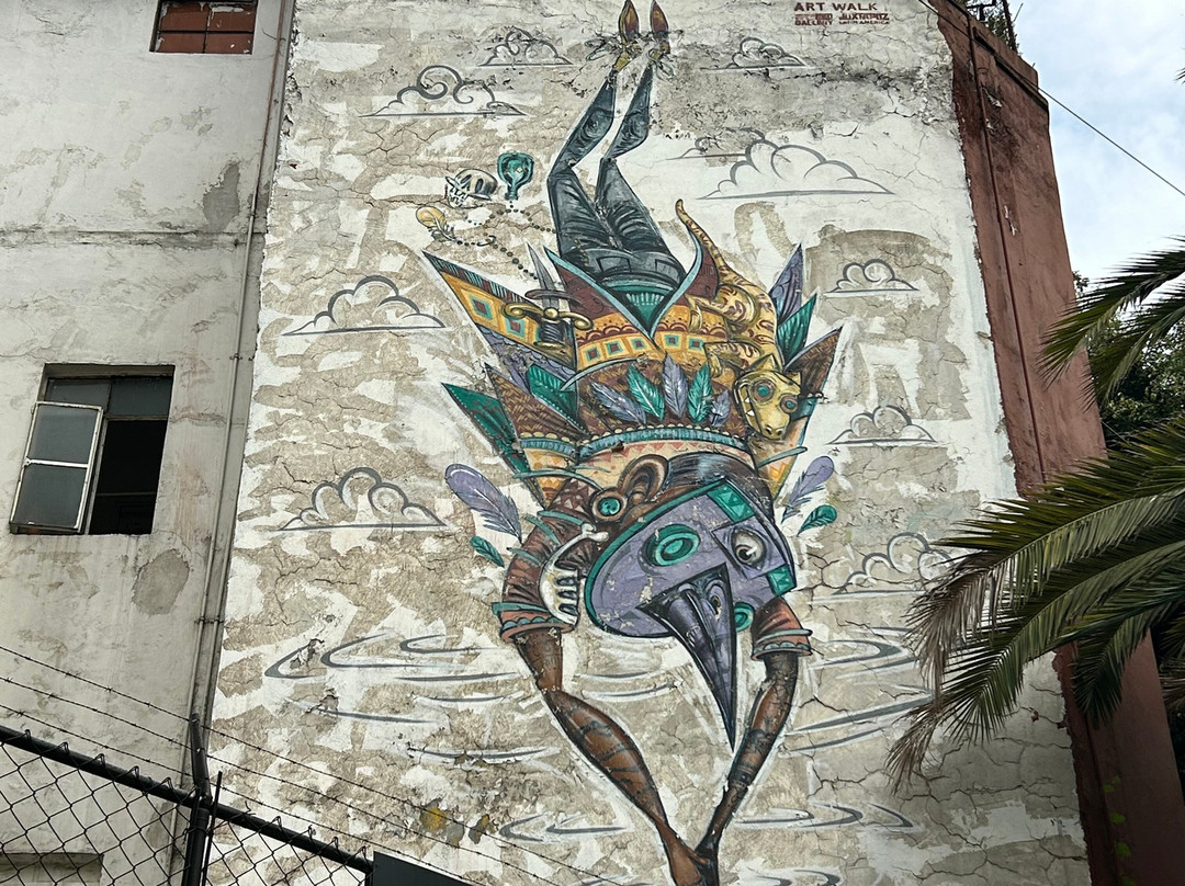 Street Art Roma District-墨西哥城必去景点