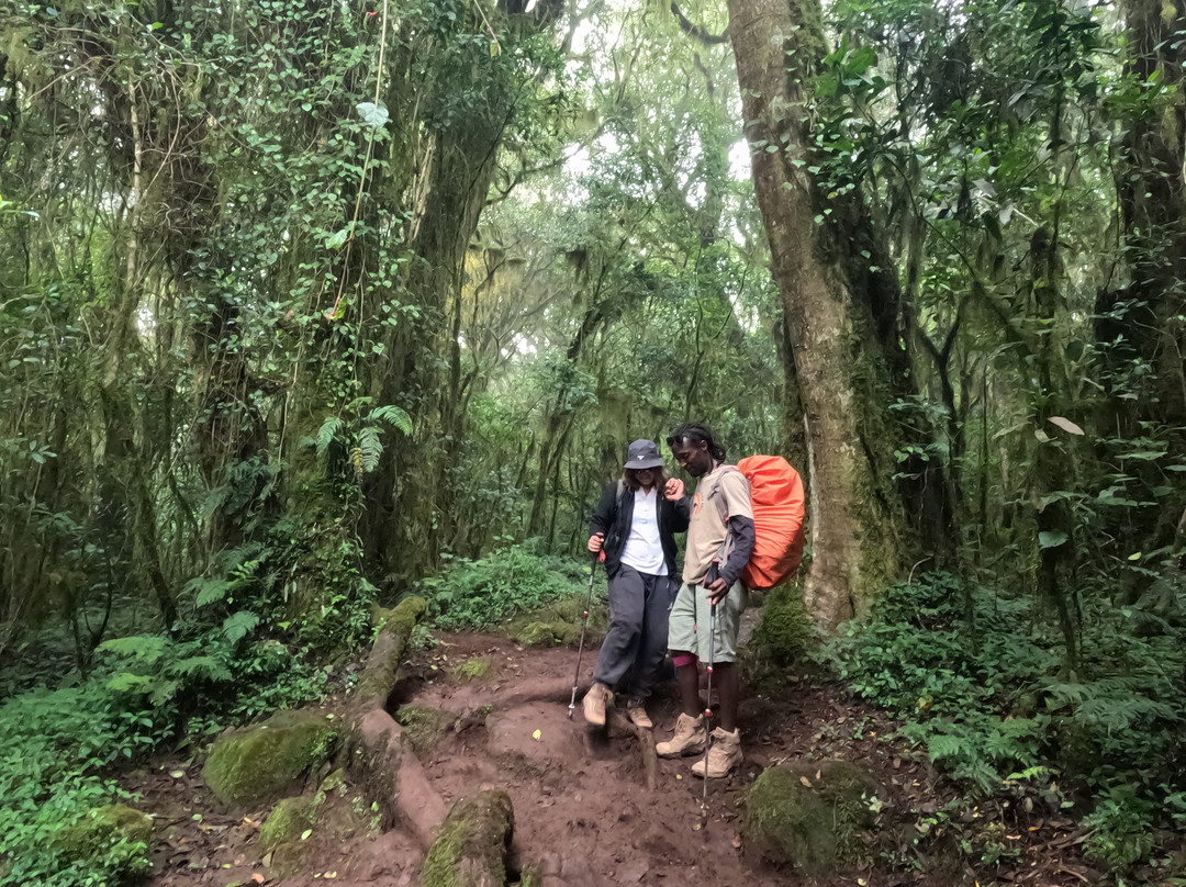 Moja Africa Experience-莫西必去景点