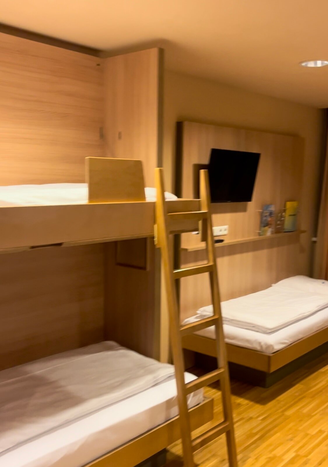 JUFA Hotel Altenmarkt-客卧