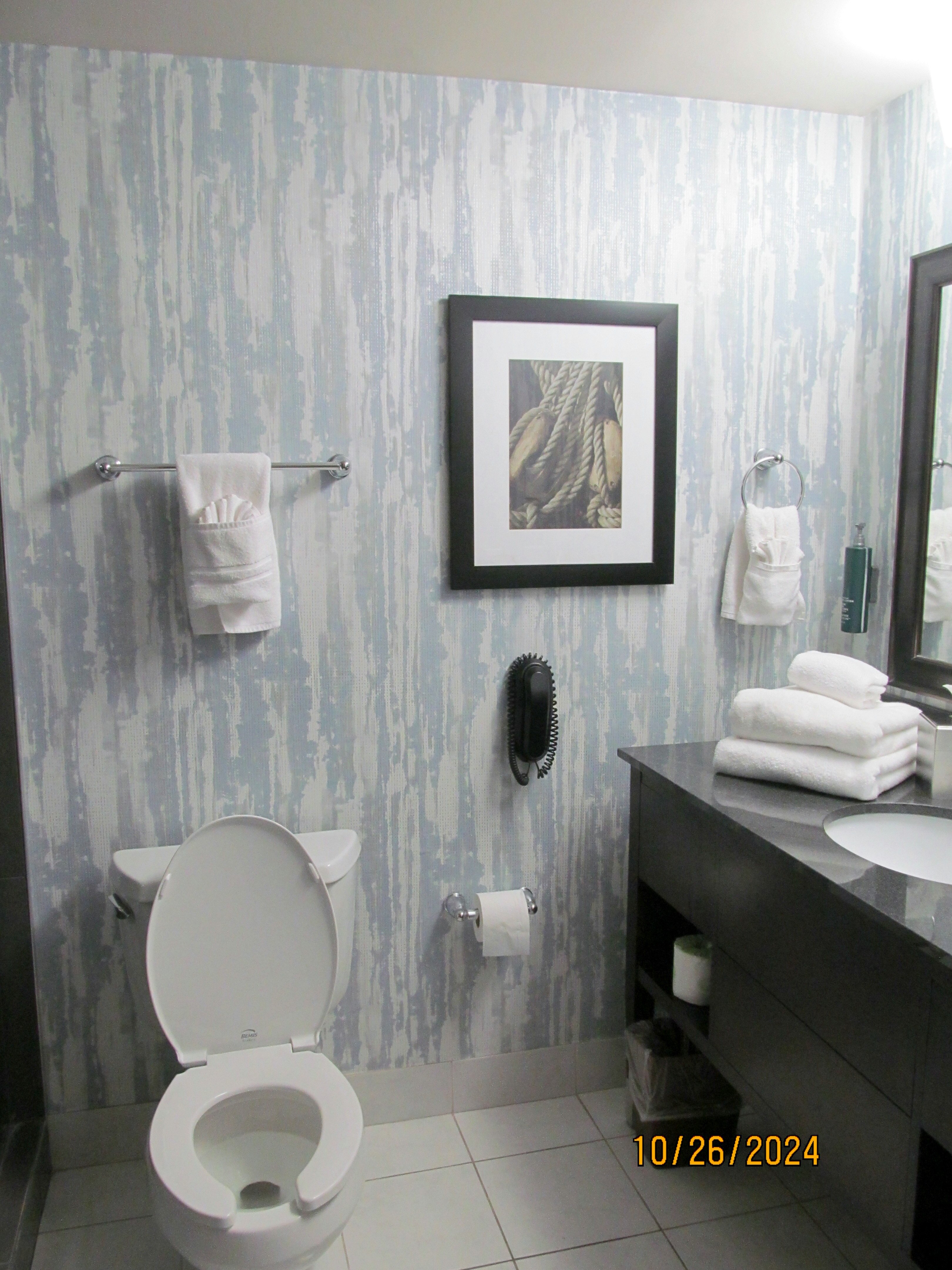 DoubleTree by Hilton Hotel Port Huron-浴室