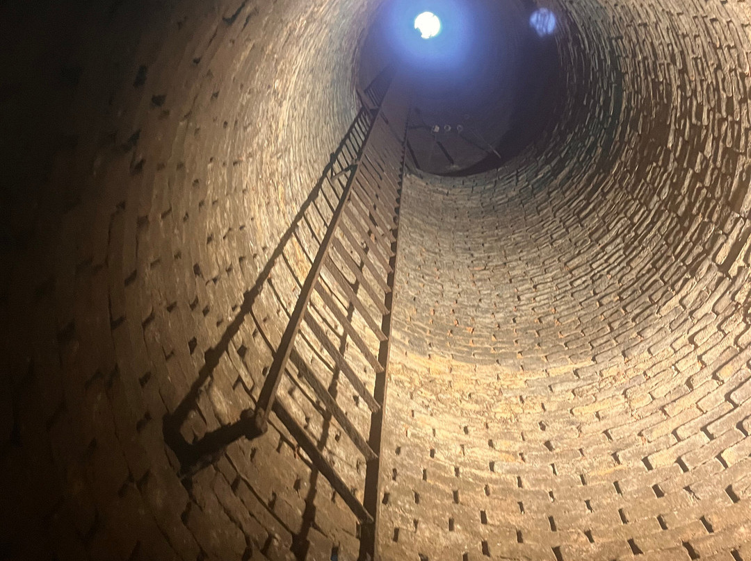 Bodegas Suau景点图片