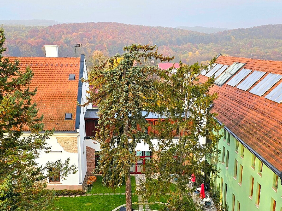 Hotel Vecsecity Superior主图