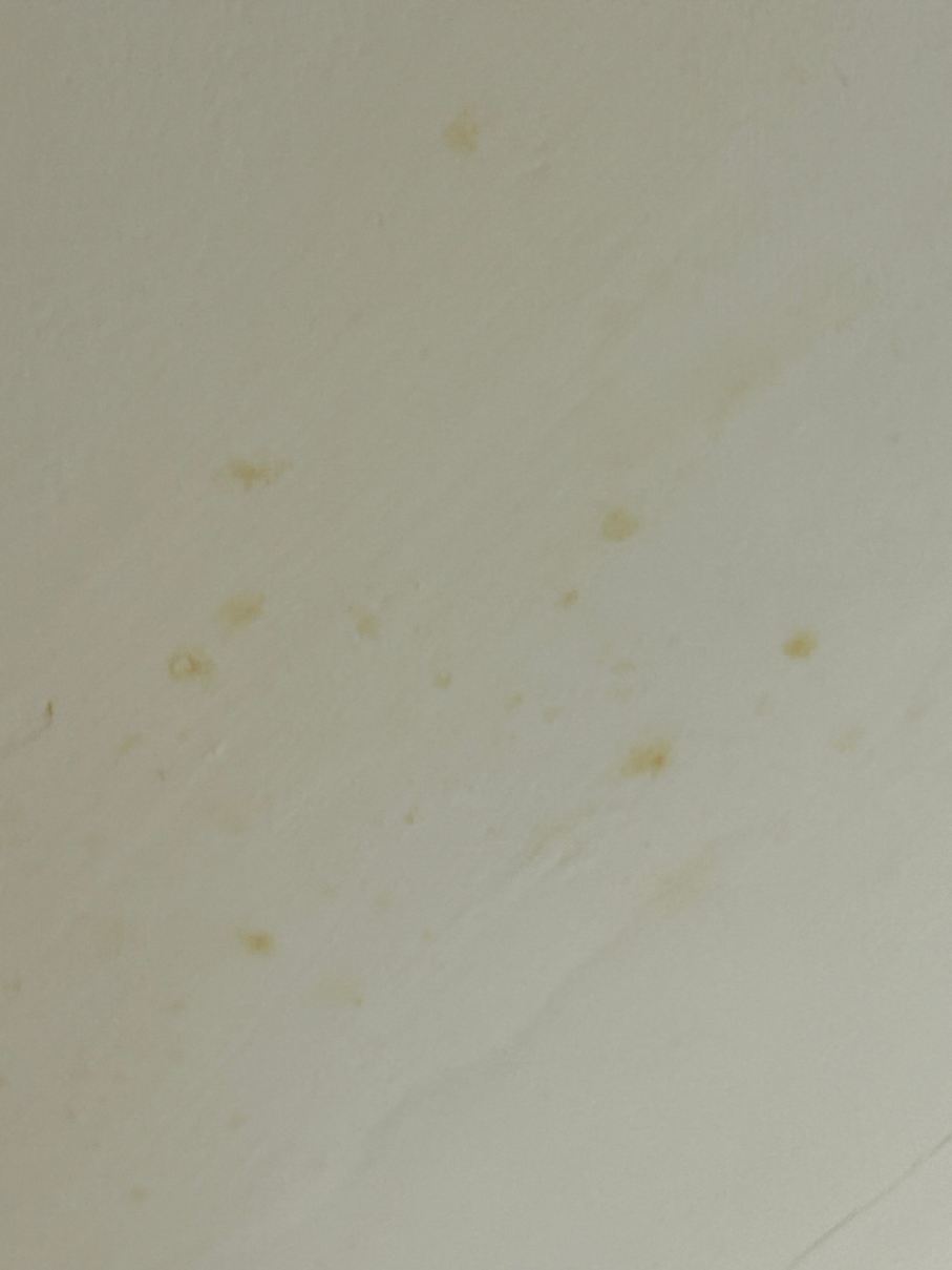 诺克斯维尔西特基克里克希尔顿特鲁酒店-客卧