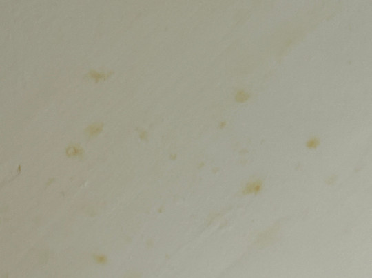 Tru by Hilton Knoxville West Turkey Creek主图