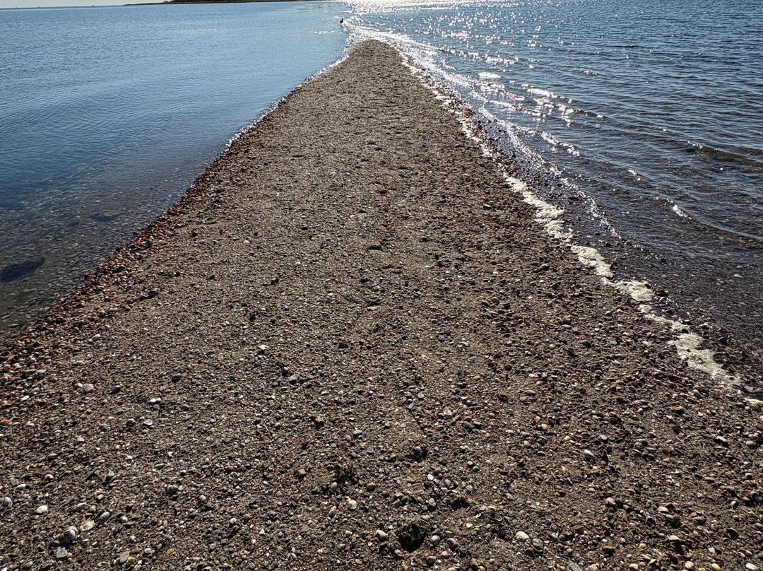 Silver Sands State Park-米尔福德必去景点