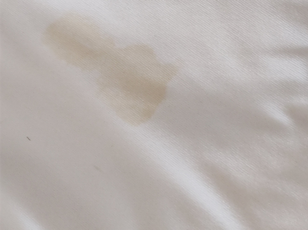 Hampton Inn Lumberton主图