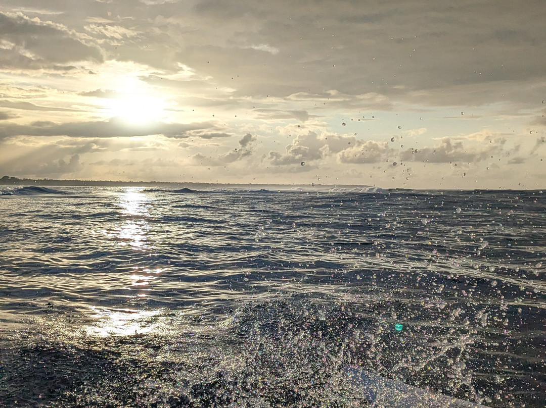 Manoa Tours, Watersports Day Tours-Si'umu必去景点