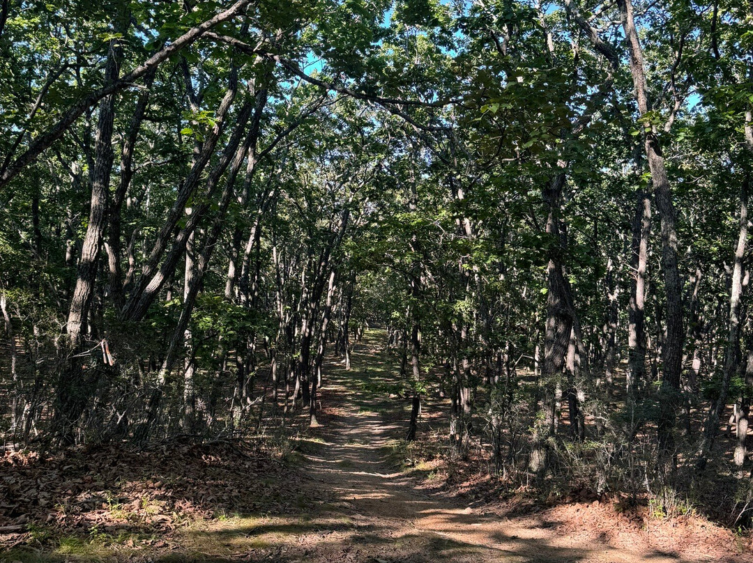 Lazo State National Park of Kalpanov-海参崴必去景点