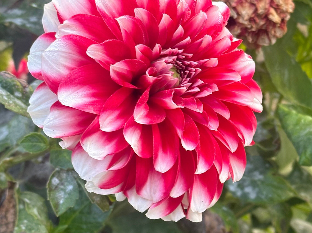 The Orchard Retreat & Spa主图