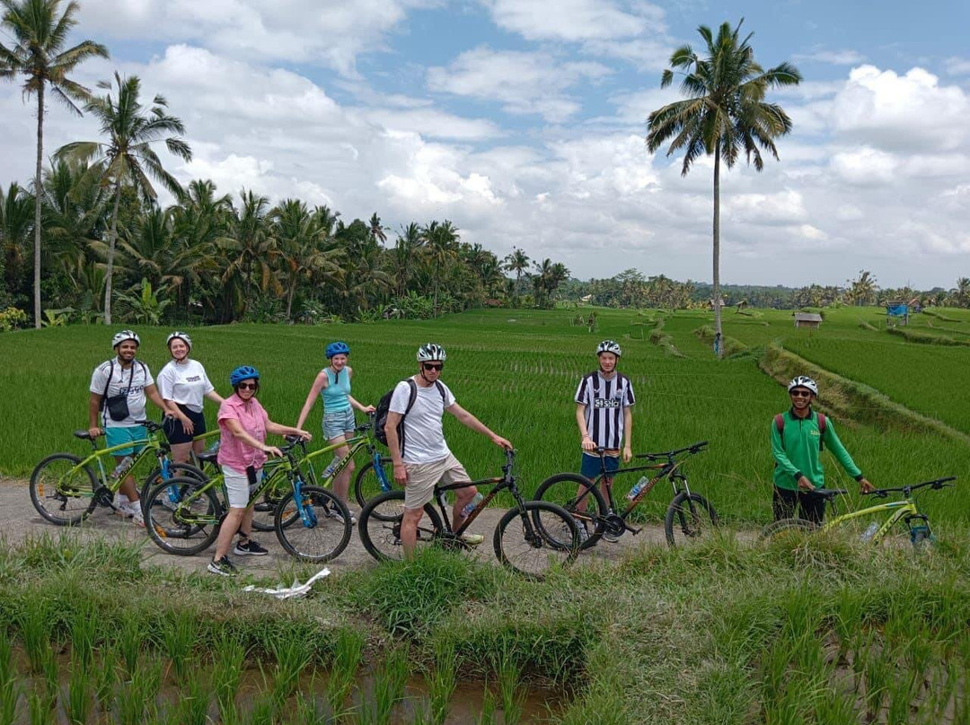 Kadek Bali Tour-登巴萨必去景点