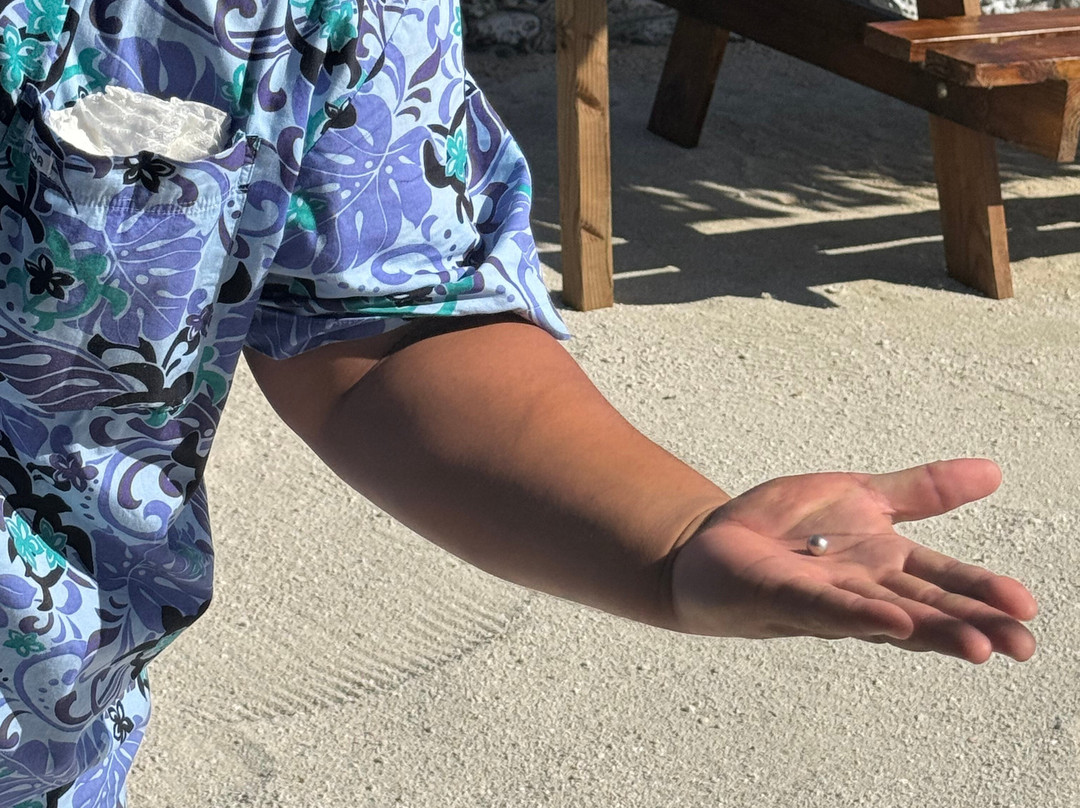 Tahia Exquisite Tahitian Pearls -Bora Bora-波拉波拉岛必去景点