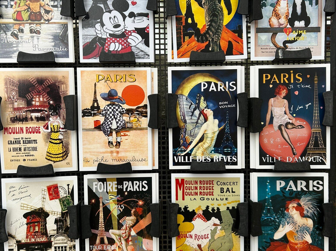 Les bouquinistes de paris-巴黎必去景点